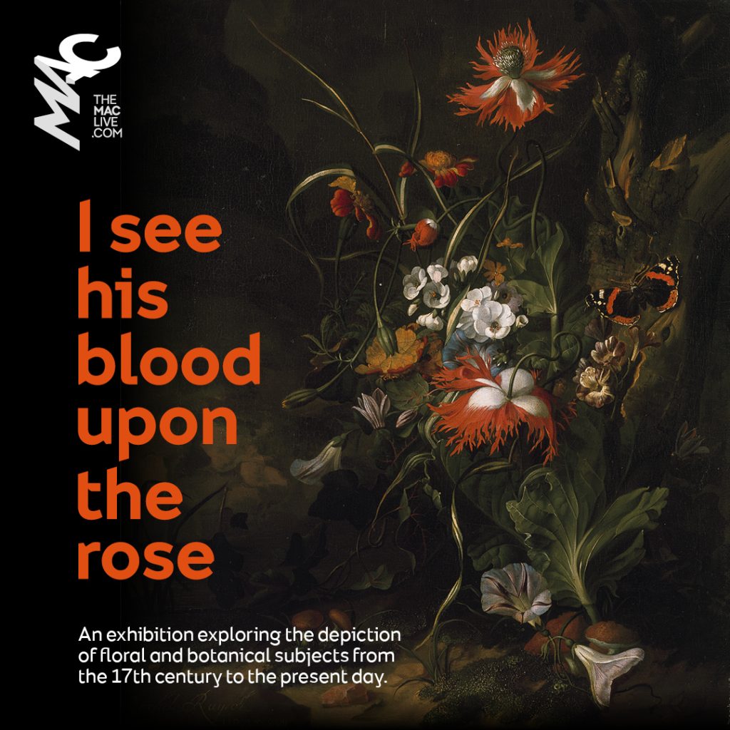 ISHB_Social Static_1